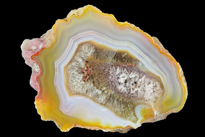 Colorful, Polished Condor Agate Section - Argentina #145517